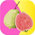 芭乐app最新网站进入ios免费破解版