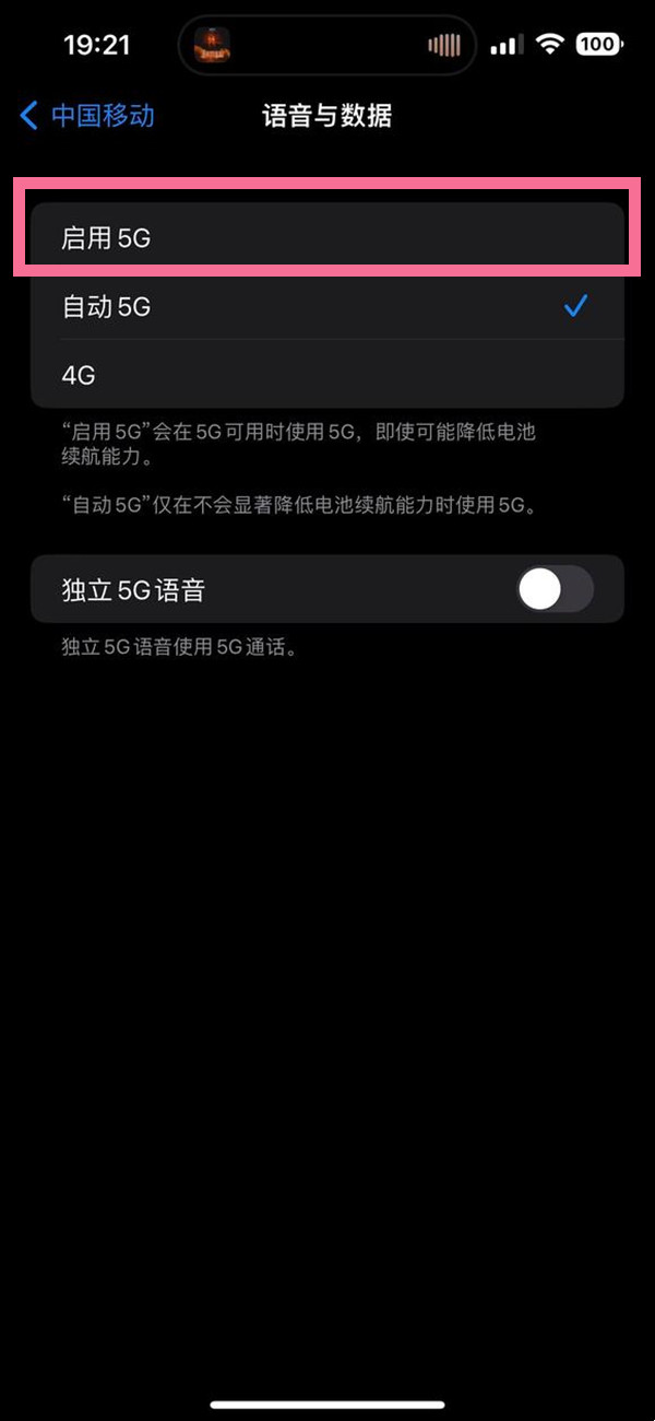 iphone13手机5G选项在哪里