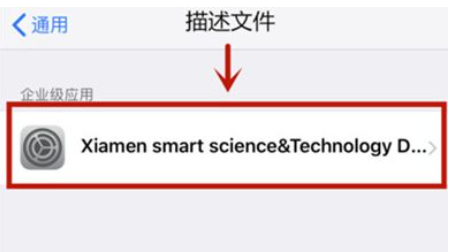 苹果12promax如何信任软件