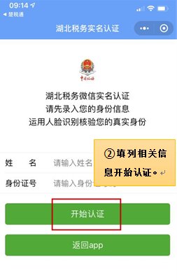 楚税通社保怎么查看