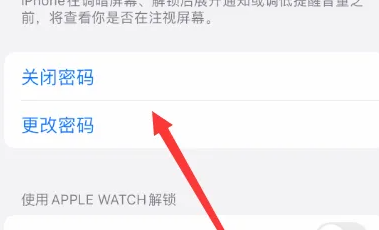 苹果15设置密码方法
