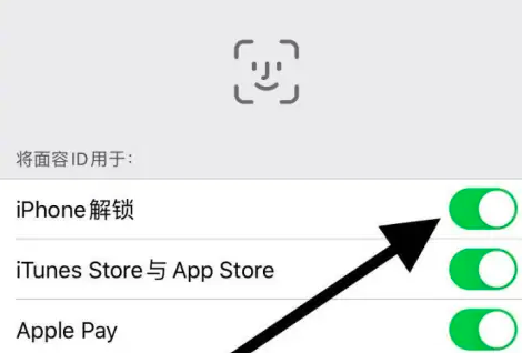 苹果15设置面容解锁步骤