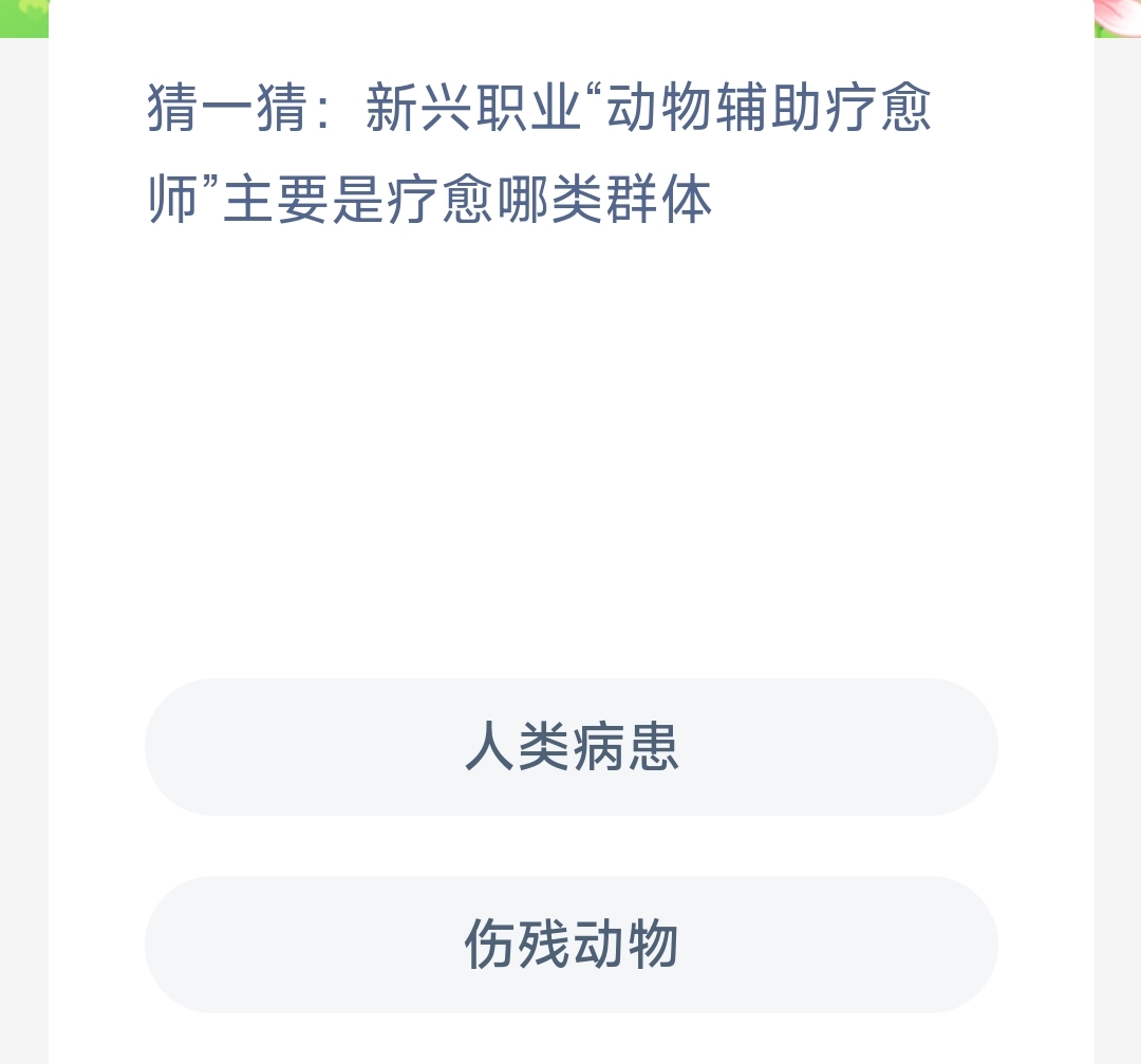 动物辅助疗愈师疗愈哪些人群