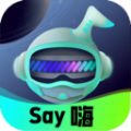 Say嗨元宇宙手机版