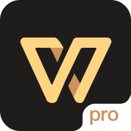 wps office黑金版